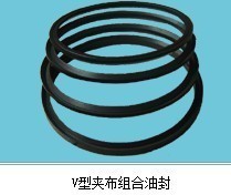 【【氟膠密封圈】V型夾布氟膠密封圈 密封件批發(fā)】價(jià)格,廠家,圖片,密封圈,鄭州市二七區(qū)萬順橡塑制品經(jīng)營部-